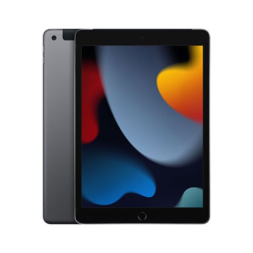 E-shop iPad 10.2" Wi-Fi + Cellular 256GB Kozmický sivý (9. gen.)