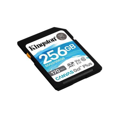 E-shop 256GB SDXC Kingston U3 V30 170/90MB/s